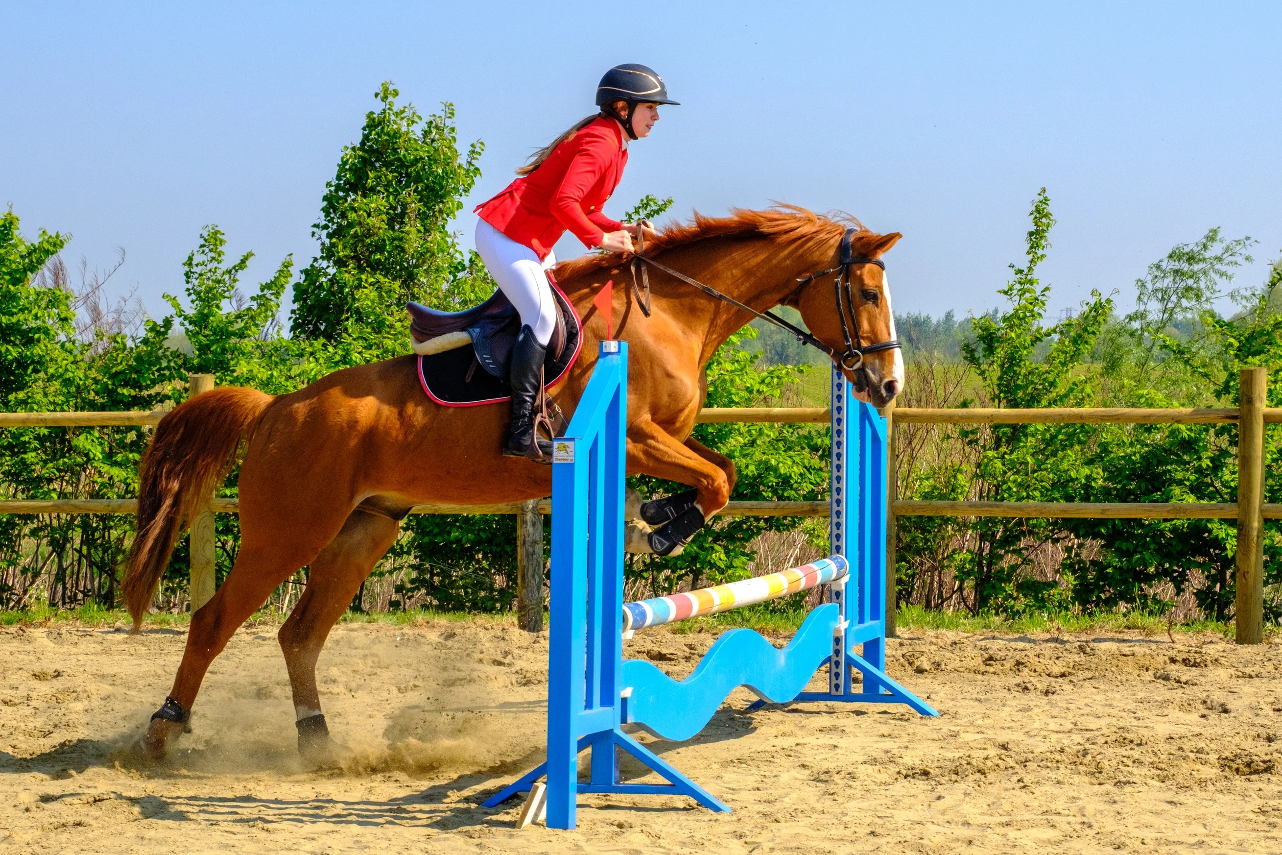 Photographie d'action sportive